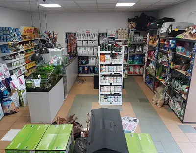 MOTYLANOGA Sklep Zoologiczny